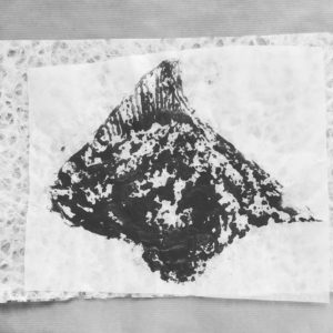 Art teacher / Clases de arte. Online y presencial.