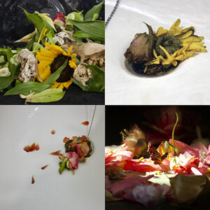 RITUAL_Fotografia artística en color.