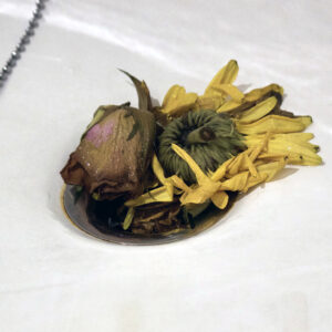 Ritual_Bath_Fine Art Photography.