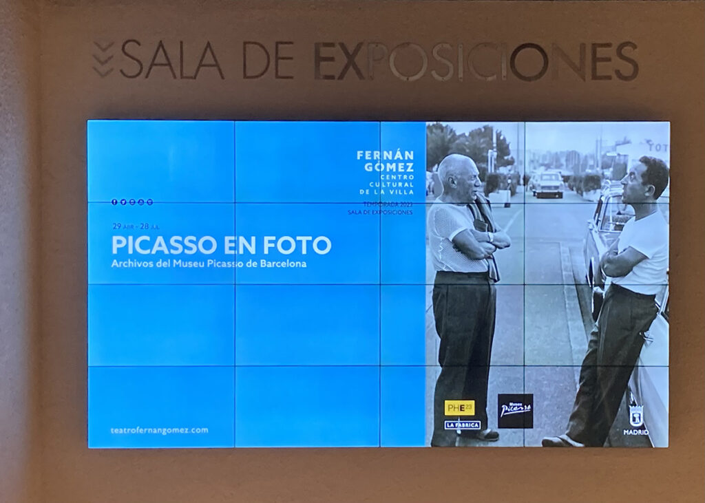 Picasso en Foto.